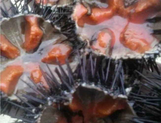 L'angolo Del Sole Отель типа 